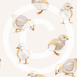 FABArt Design - Showcase SA Designer Carmen Anderson - Chicks FA